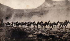1907 24 Mule Team Hauling Ore Goldfield Rhyolite Nevada Vintage Postcard F140 picture