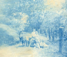 QT143 Original Vintage Photo CYANOTYPE GOAT CART CHILDREN DOG c Early 1900's picture