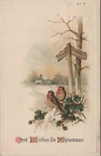 c1910s Christmas Wishes pair birds Good Luck sign holly embossed postcard C502 picture