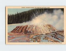 Postcard Sponge Geyser Yellowstone National Park Wyoming USA picture