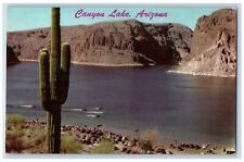 Canyon Lake Arizona AZ Postcard Picnic Bathing And Boating Resort 1969 Vintage picture