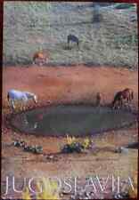1979 Original Poster Yugoslavia Wild Horses Water Trough 1979 Nature picture