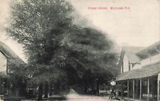 FL-Maitland, Florida- Street scene with advertisement on back c1910 picture