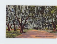 Postcard The Pakenham Oaks New Orleans Louisiana USA picture