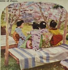 Tokyo Japan Under The Cherry Blossoms in Norji Park Antique Color Stereoview picture