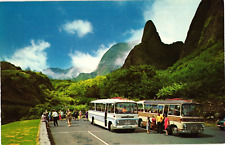 Iao Needle View Maui 1970s Tour Buses Hawaii Unused Postcard Vintage picture
