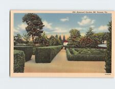 Postcard Boxwood Garden Mount Vernon Virginia USA picture
