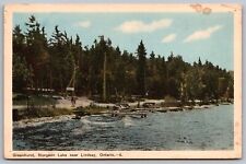 Greenhurst Sturgeon Lake Lindsay Ontario Canada Ca Antique Postcard picture