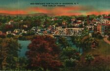 Vintage Linen PPC Postcard Saugerties New York From Barclay Heights With Bridge picture