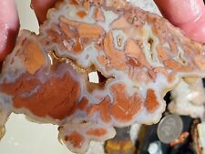 Youngite Agate Specimen Slab Rough Plume Inclusions Wyoming Old Stock 67g picture