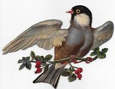 1888 Chromo de Coupis BIRD & BERRIES, Antique Victorian Die-Cut, 7