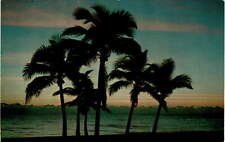 Florida, sunrise, color photo, H. W., postcard Postcard picture