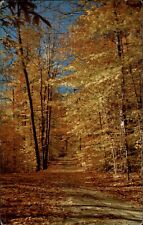 Newcomerstown Ohio country path autumn foliage unused vintage postcard picture