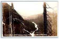 Rainier National Park WA Postcard RPPC Photo Looking Down Nisqually River c1910s picture