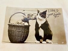 Postcard Sepia RPPC W.E. Mack London Puppy & Cat Photo Postcard #636 picture