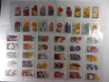 Wills Cigarette Cards Garden Flowers 1933 Complete Set 50 in Pages picture