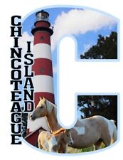 Chincoteague Island with Lighthouse and Horses Capital C Collage Fridge Magnet picture