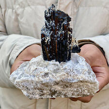 2.3LB  Top natural black tourmaline quartz crystal mineral specimen picture