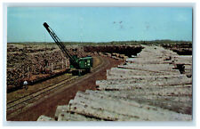 c1950s Pulp Wood Stock in Northern Minnesota MN Unposted Vintage Postcard picture
