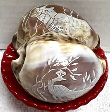 Vintage Cowrie Seashell Carved Peacock Or Rhinoceros Rhino (1 Only) 3” Ex Cond picture