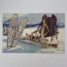 Alaska AK Alaskan Trapper Gear Postcard Old Vintage Card View Standard Souvenir picture