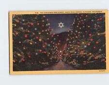 Postcard The Christmas Tree Street Santa Rosa Avenue Altadena California USA picture