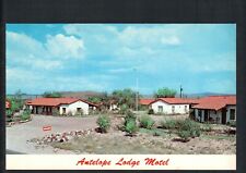 ALPINE, TX * ANTELOPE  LODGE MOTEL * UNPOSTED VINTAGE 1950s CHROME  picture