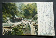 Oxen Hauling Logs, Camp Meeker CA, pmk 1912 handcolored postcard picture