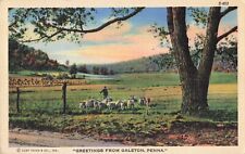 Galeton PA Pennsylvania, Greetings, Farmer & Sheep Scenic View, Vintage Postcard picture