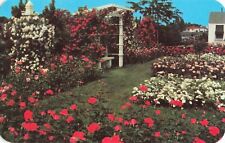 Jackson & Perkins Rose Garden - Newark New York NY - Postcard picture