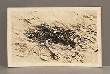 Early 1900’s RPPC of Skeletal Remains (possibly a battlefield) picture