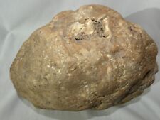 Large Unopened KY Geode 19.4lb Rare Crystal Quartz 11in Father's Day Gift Idea picture