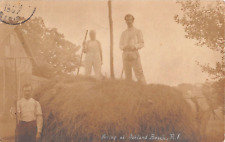 1907 RPPC Haying at Oakland Beach RI Farm picture