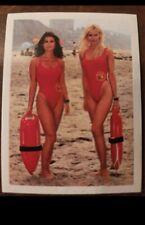 1996 Diamond Baywatch Album Stickers #116 NM or Better  picture