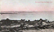 RARE C 1903 PC  THE BURIED PETRIFIED FOREST AT NORTH RYE BEACH NH picture