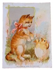 2 Easter Victorian Trade Cards  Woolson Spice Co Rabbit Chick Cat Antique 1894 picture
