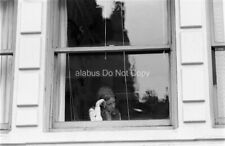 Orig 1960's Found NEGATIVE View of Young Woman Sitting w Head on Hand in Window picture