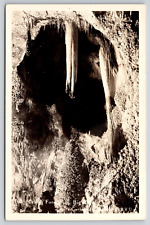 RPPC Celery Stalk Formation Big Room Carlsbad Cavern New Mexico Photo Postcard picture