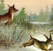 1880s-90s Victorian Trade Card Forest Scene Fox & Two Rabbits Fab P206 picture