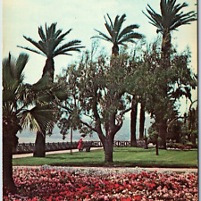 c1960s Santa Monica, Cal Palisades Park Greetings Louis Zimmerman Chrome PC A218 picture