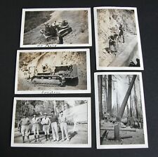LOGGING Caterpillar Tractor Postcard Lot Vtg 40s 50s USDA Forestry Loggers RPPC picture