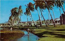 Vintage Postcard Village of Inarajan Guam, Micronesia, Unposted picture