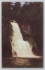 Bushkill Falls, Bushkill Pa Pennsylvania Postcard 2104 picture