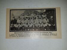 Bucknell University Baseball 1913 Team Picture picture