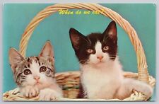 Two Cats When Do We Eat Animals Postcard silly picture
