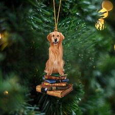 Golden Retriever-Sit On The Book Two Sides Christmas Plastic Hanging Ornament picture