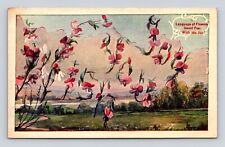 Antique Postcard Language of Flowers WISH YOU JOY Sweet Pea Vintage 1910 picture