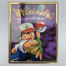Pokemon Gotta Catch 'Em All Framed 8x10 Picture picture