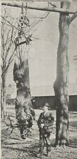 Dr FD Bigarel Of Port Leyden NY And Moose Kill Posted Undivided Vintage Postcard picture