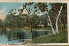 VTG 1924 Lake Shore Near Trout Pavilion Lake George New York Postcard picture